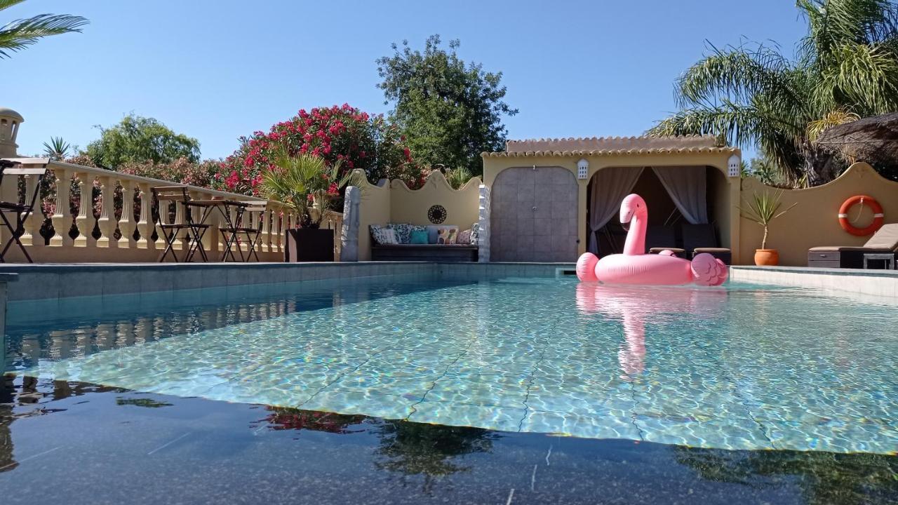 Suite Terrace,1113864093:JPEG